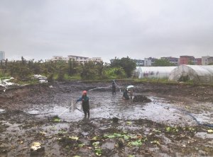 新河河道鱼塘清淤